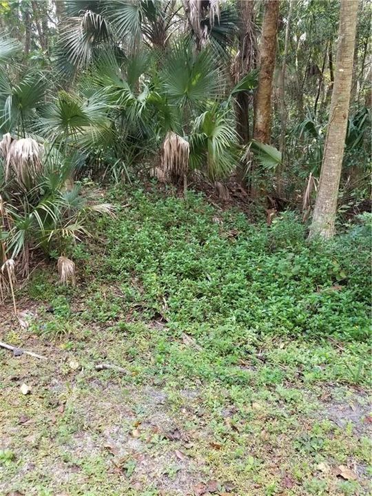Недавно продано: $14,000 (0.28 acres)