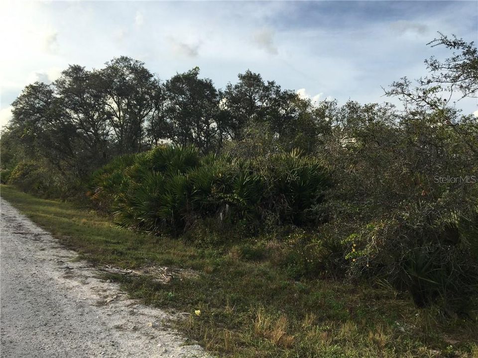 Vendido Recientemente: $3,900 (0.23 acres)