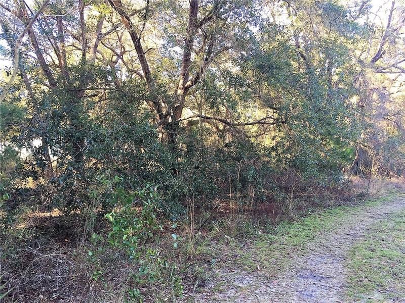 Recently Sold: $9,000 (0.59 acres)