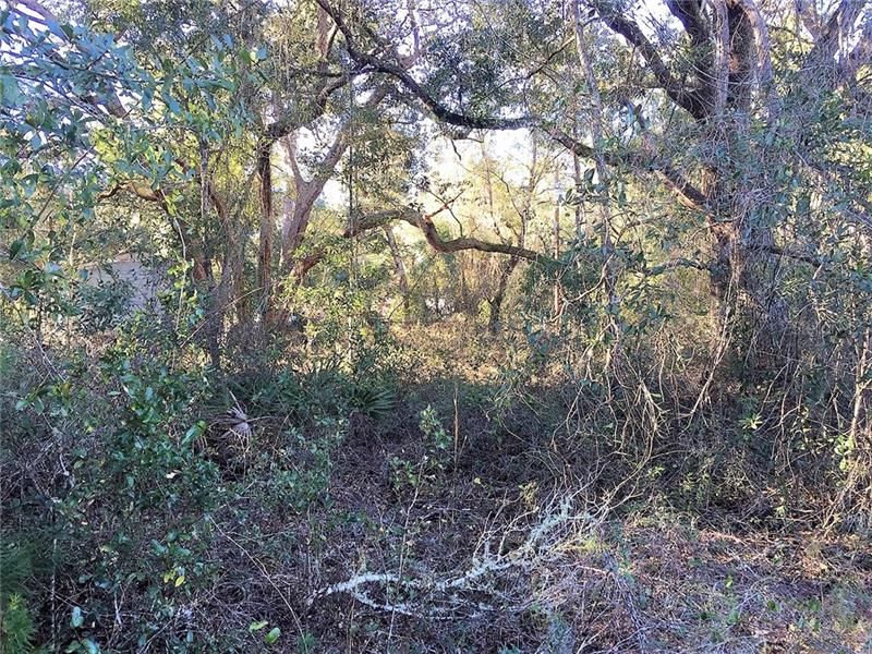 Recently Sold: $9,000 (0.59 acres)