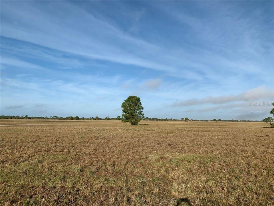 Vendido Recientemente: $4,500 (0.17 acres)