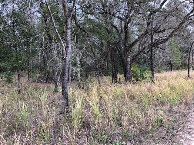 Recently Sold: $65,000 (5.00 acres)