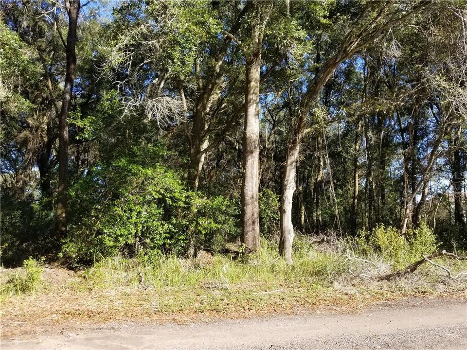最近售出: $79,900 (1.00 acres)