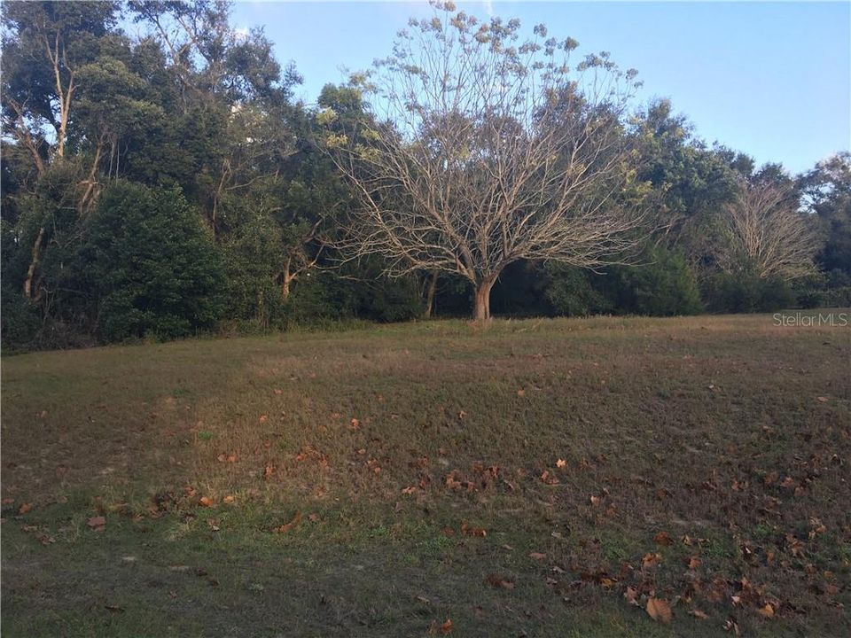 Recently Sold: $66,000 (1.00 acres)