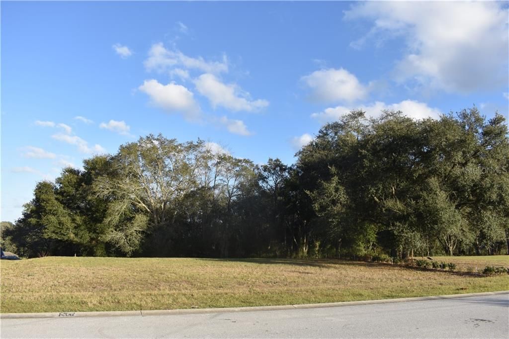 Lot View