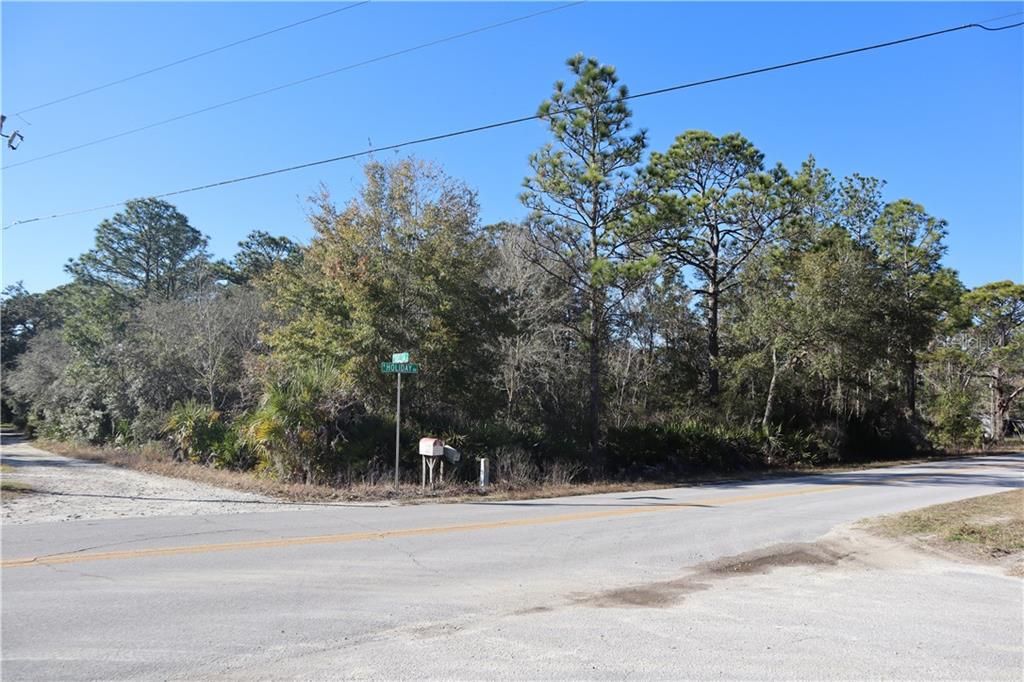 Recently Sold: $10,900 (1.21 acres)