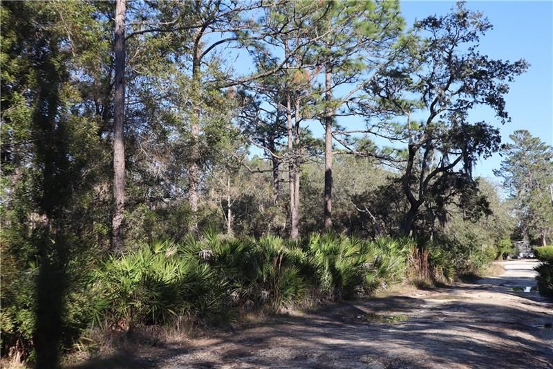 Recently Sold: $10,900 (1.21 acres)