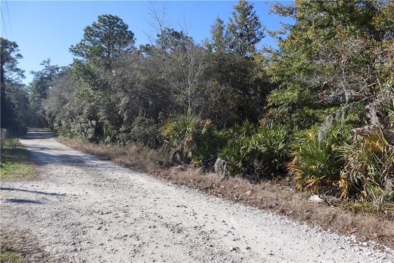 Recently Sold: $10,900 (1.21 acres)