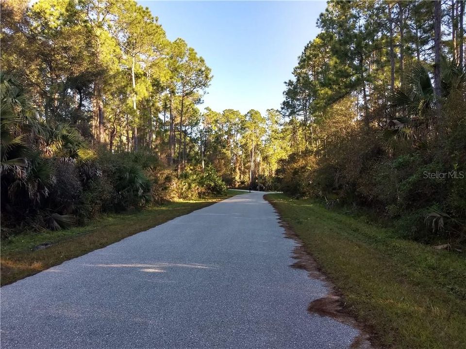 Vendido Recientemente: $8,000 (0.24 acres)