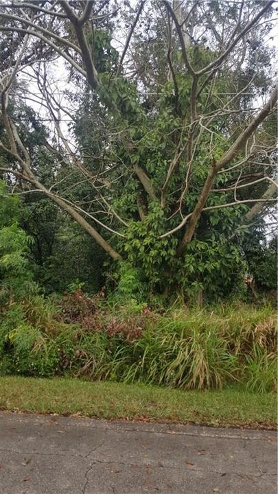 Recently Sold: $35,000 (0.16 acres)