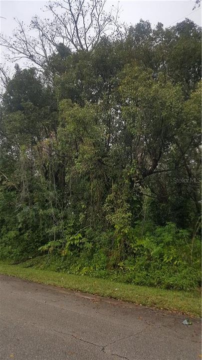 Recently Sold: $35,000 (0.16 acres)