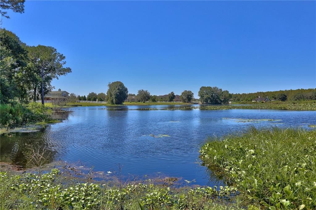 LAKE located on the rear of the property