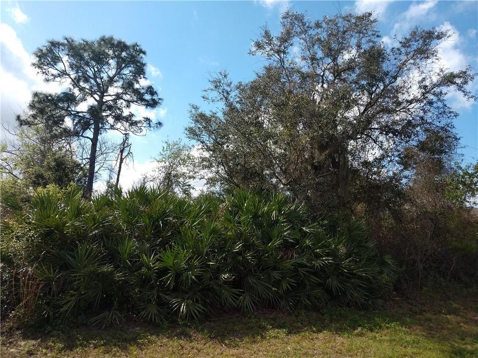 Recently Sold: $35,000 (0.23 acres)