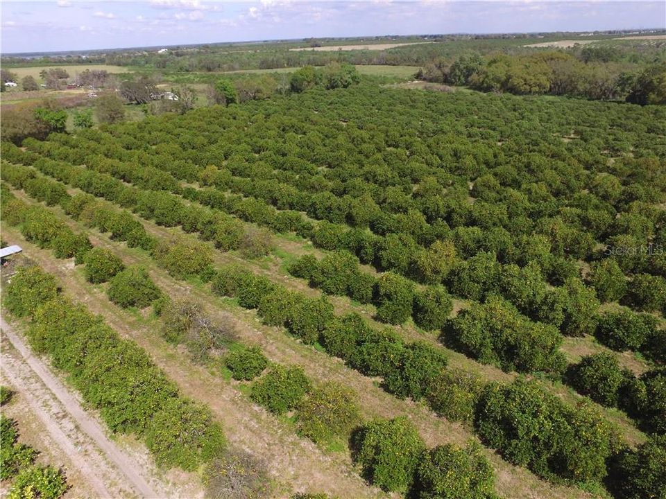 Recently Sold: $195,000 (19.95 acres)