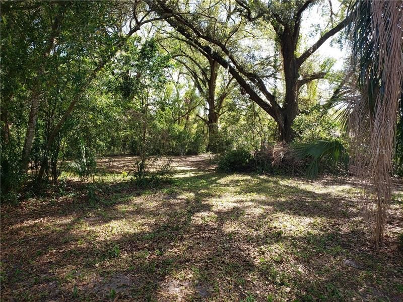 Recently Sold: $59,000 (0.55 acres)