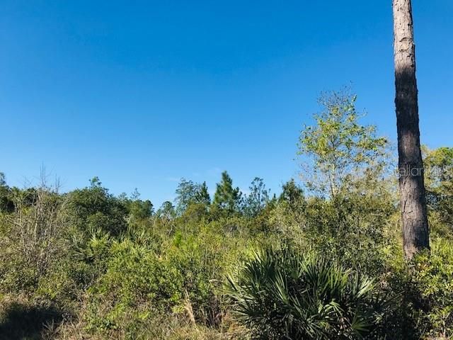 Недавно продано: $129,900 (13.58 acres)