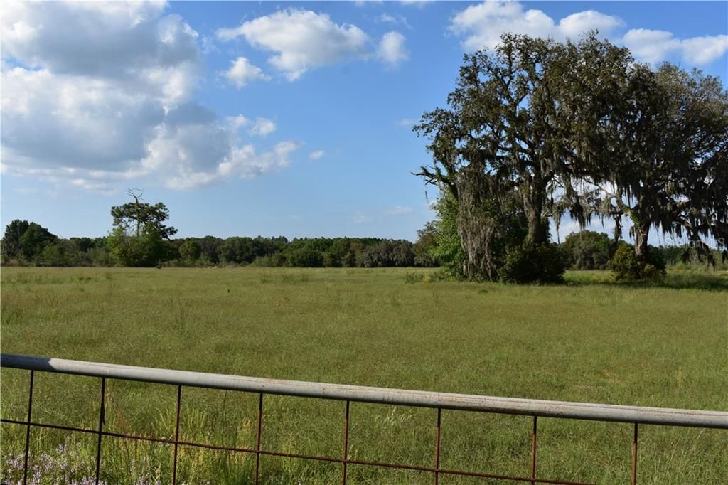 Vendido Recientemente: $1,425,000 (19.00 acres)