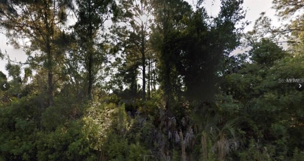 Recently Sold: $12,500 (0.26 acres)