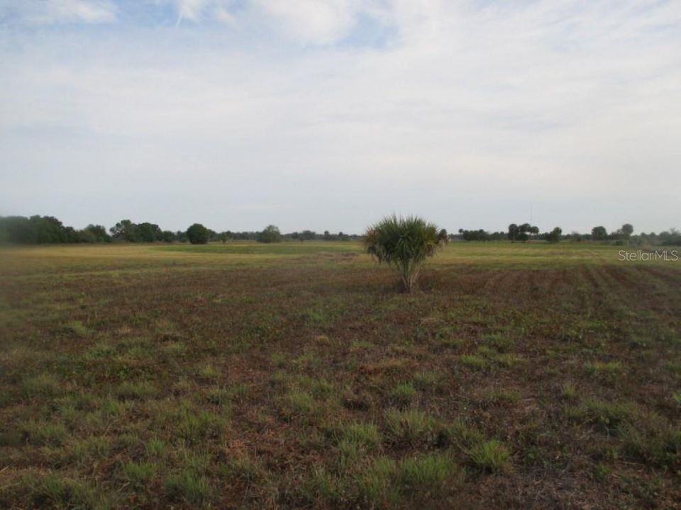 Recently Sold: $80,000 (9.99 acres)