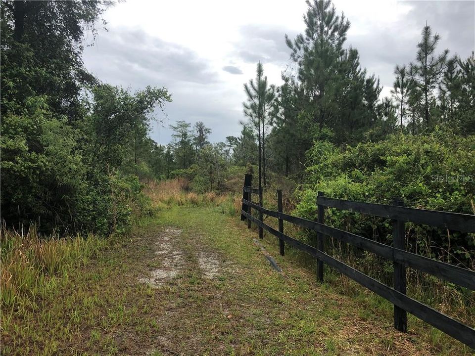 View down street on Marcelo Lane, overgrown.  Property (3425) is on the right, starts just past this fence. Seller will bush hog road soon.
