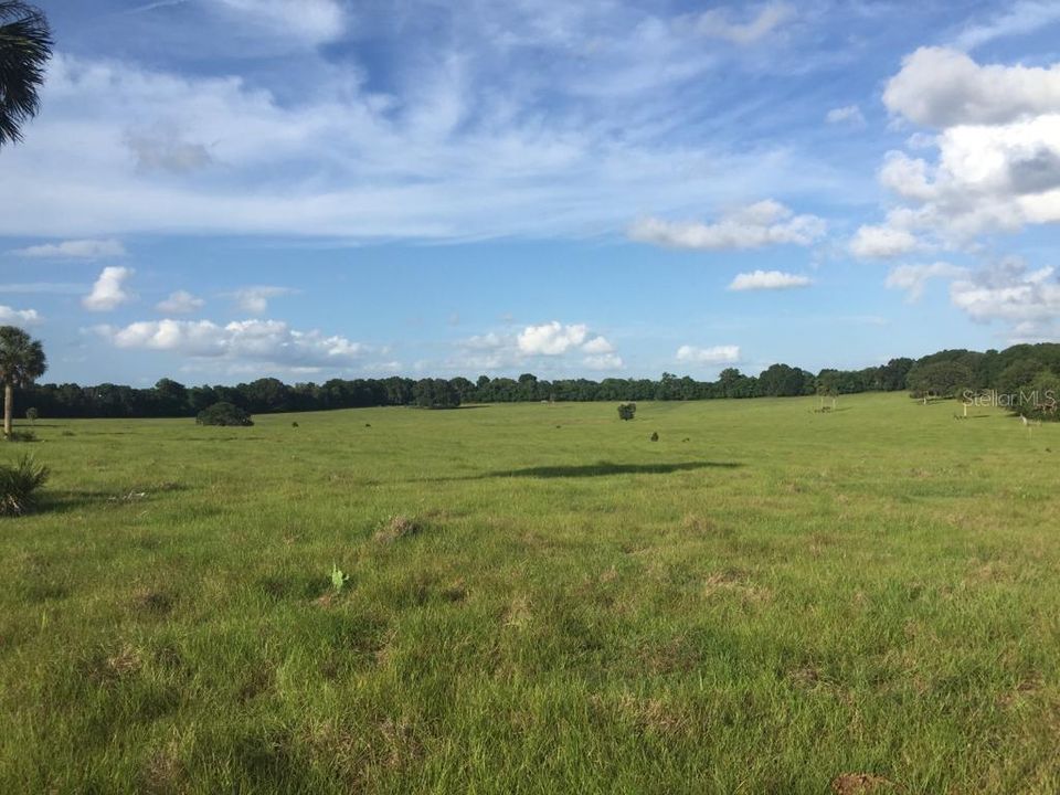 Недавно продано: $250,000 (10.00 acres)