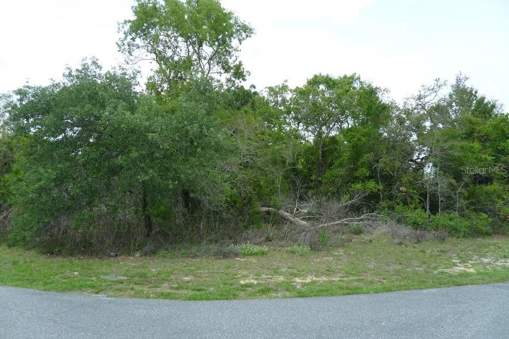 Vendido Recientemente: $19,500 (0.34 acres)