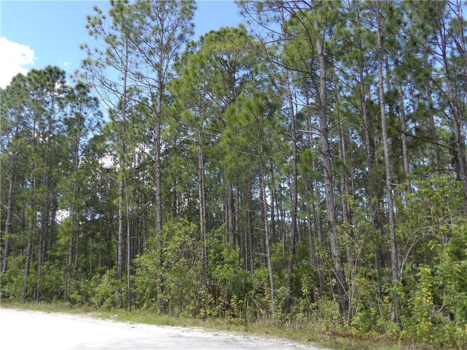 Recently Sold: $85,900 (5.06 acres)