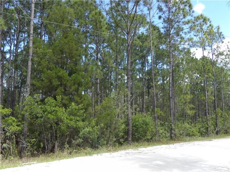 Recently Sold: $85,900 (5.06 acres)