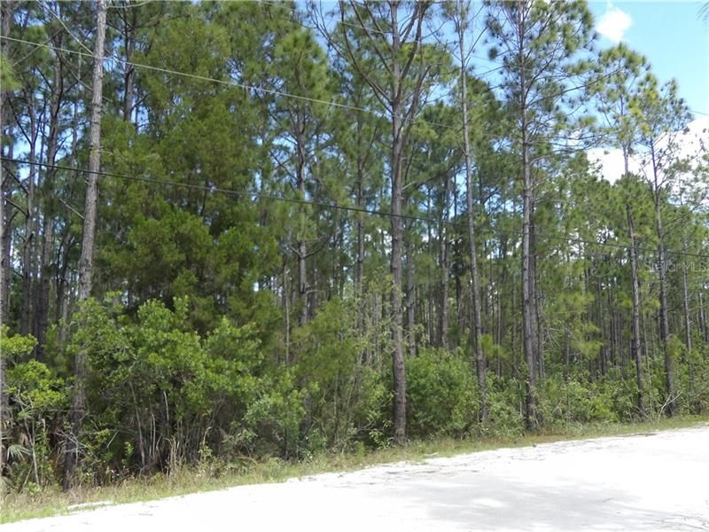 Vendido Recientemente: $85,900 (5.06 acres)