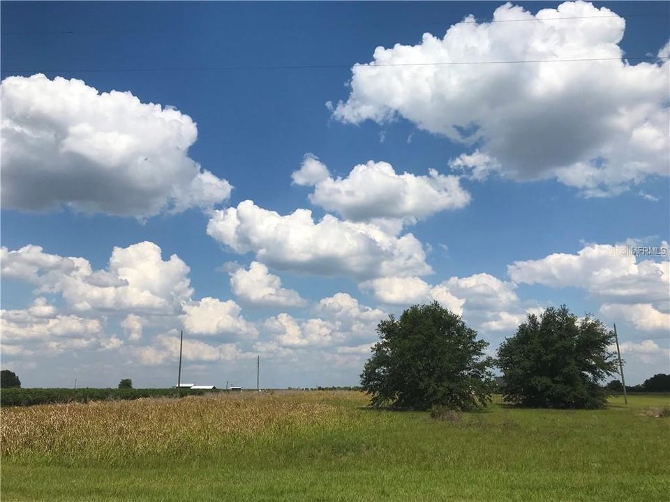 Недавно продано: $85,000 (6.02 acres)