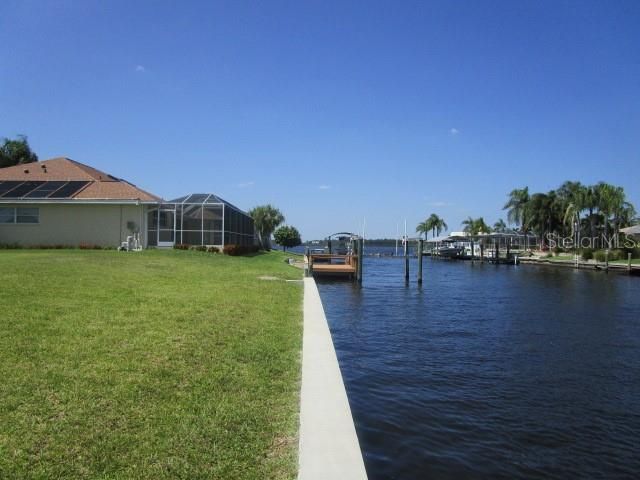 Just a short distance out to the Myakka River!  (two lots away!)