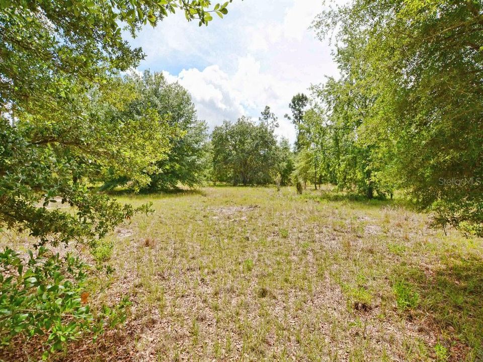 Недавно продано: $575,000 (62.00 acres)