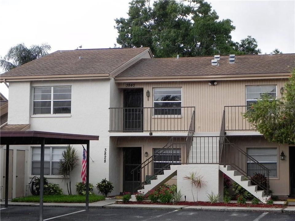 The front view