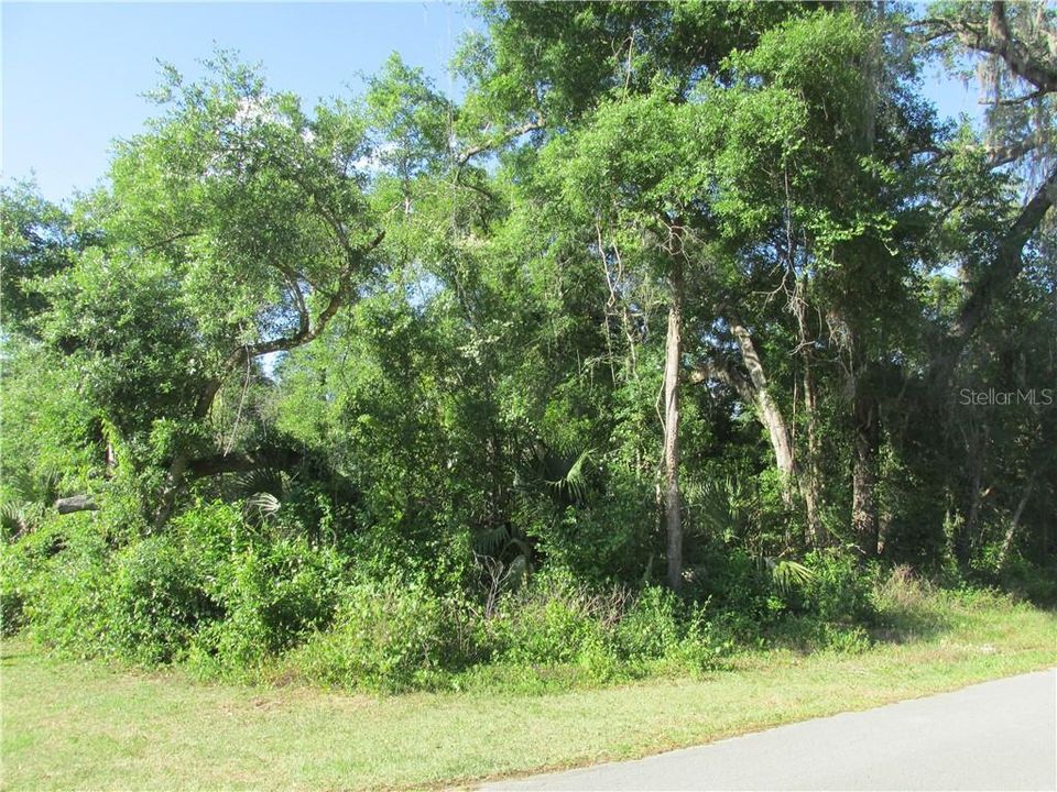 Недавно продано: $10,000 (0.50 acres)