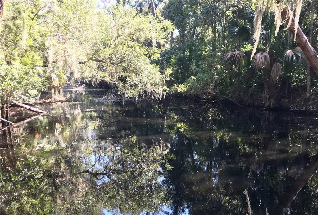 Canal looking West.