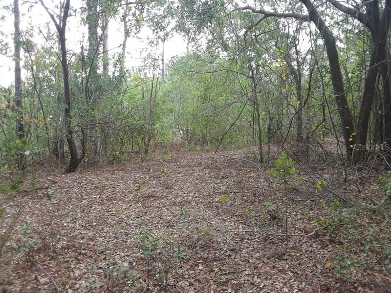 Recently Sold: $84,500 (2.40 acres)