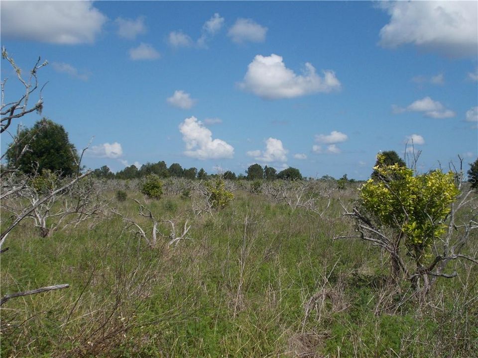 Recently Sold: $95,000 (4.30 acres)