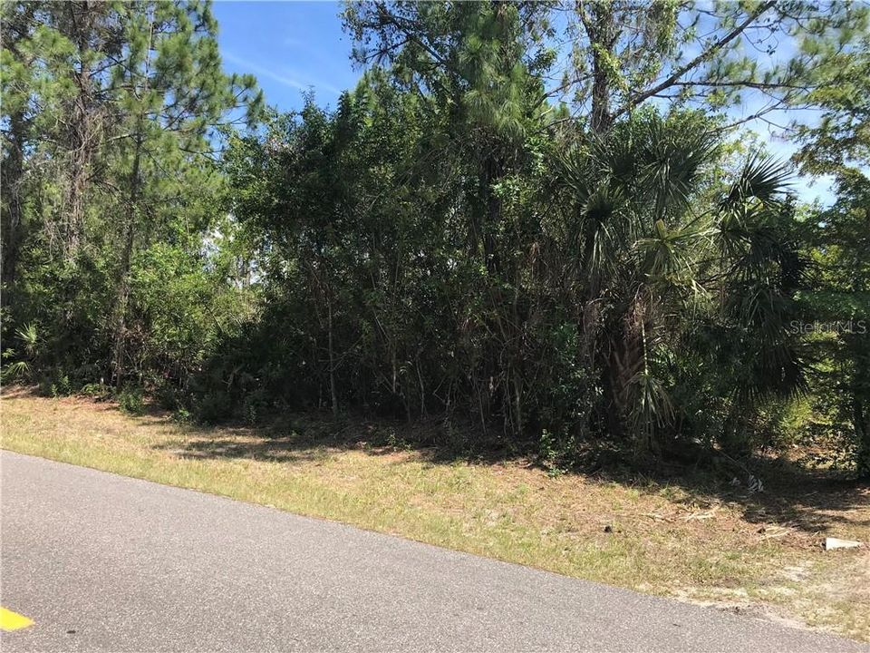Recently Sold: $8,000 (0.23 acres)
