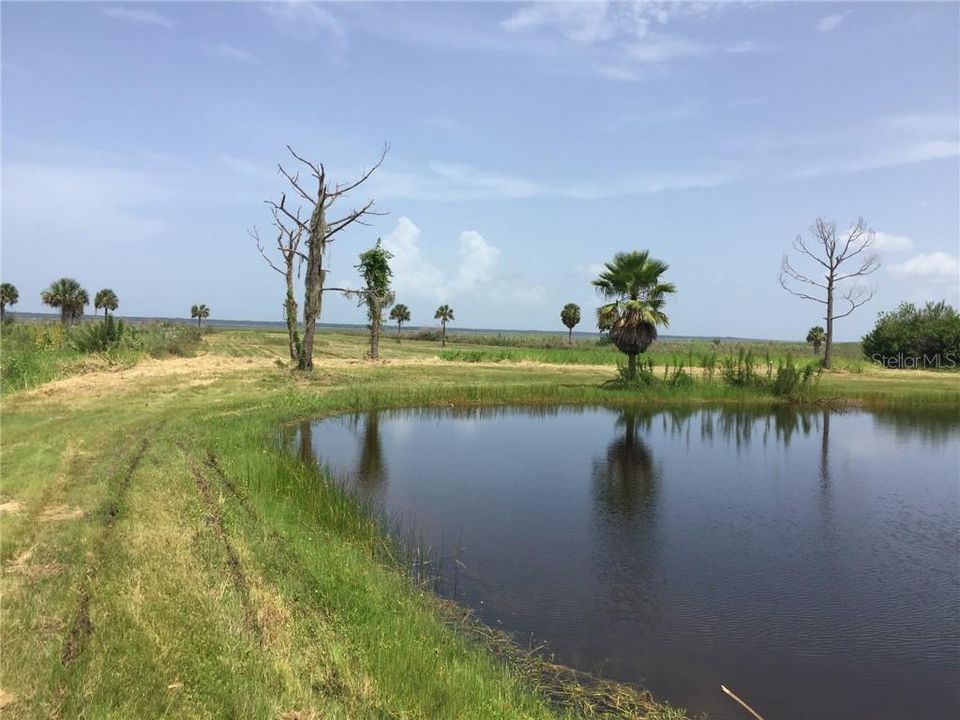 Недавно продано: $119,000 (9.66 acres)