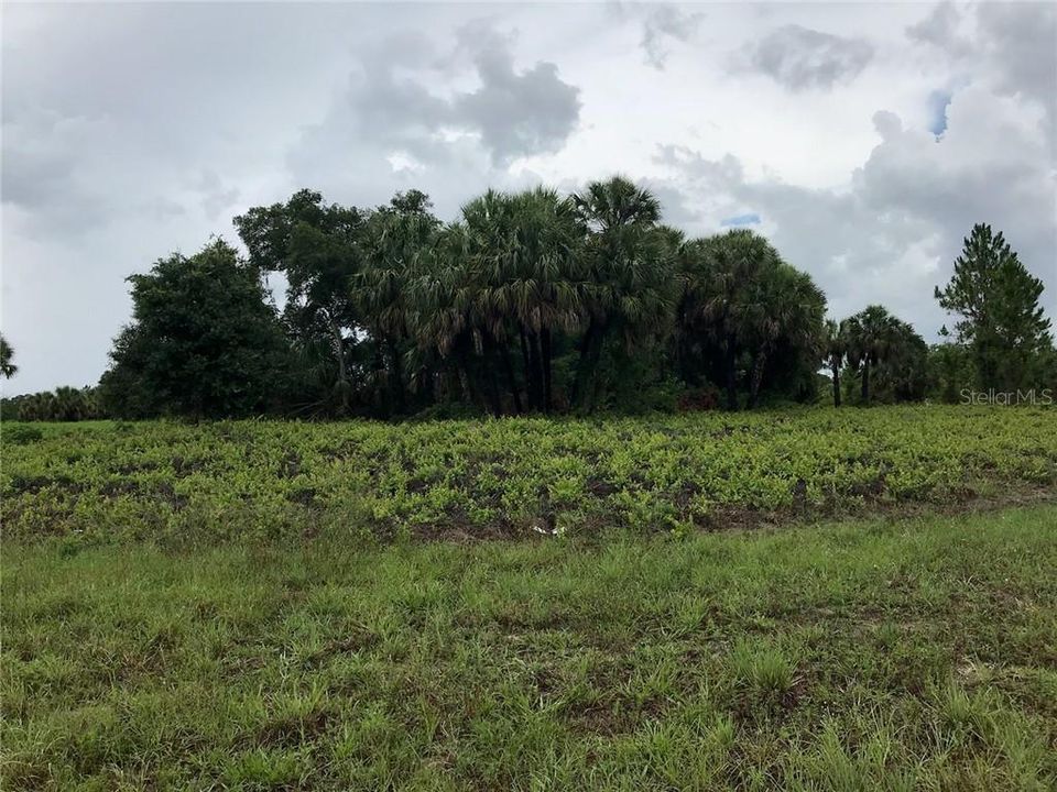 最近售出: $4,500 (0.30 acres)