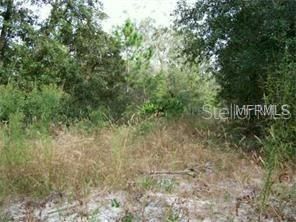 Recently Sold: $12,000 (0.49 acres)