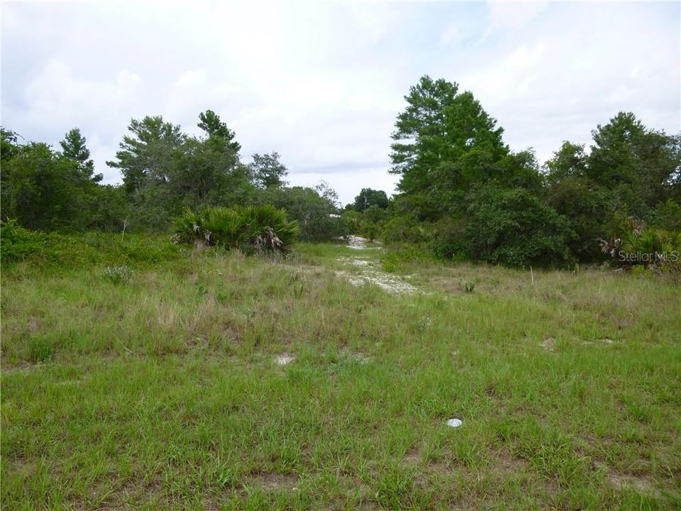 Vendido Recientemente: $8,800 (0.21 acres)