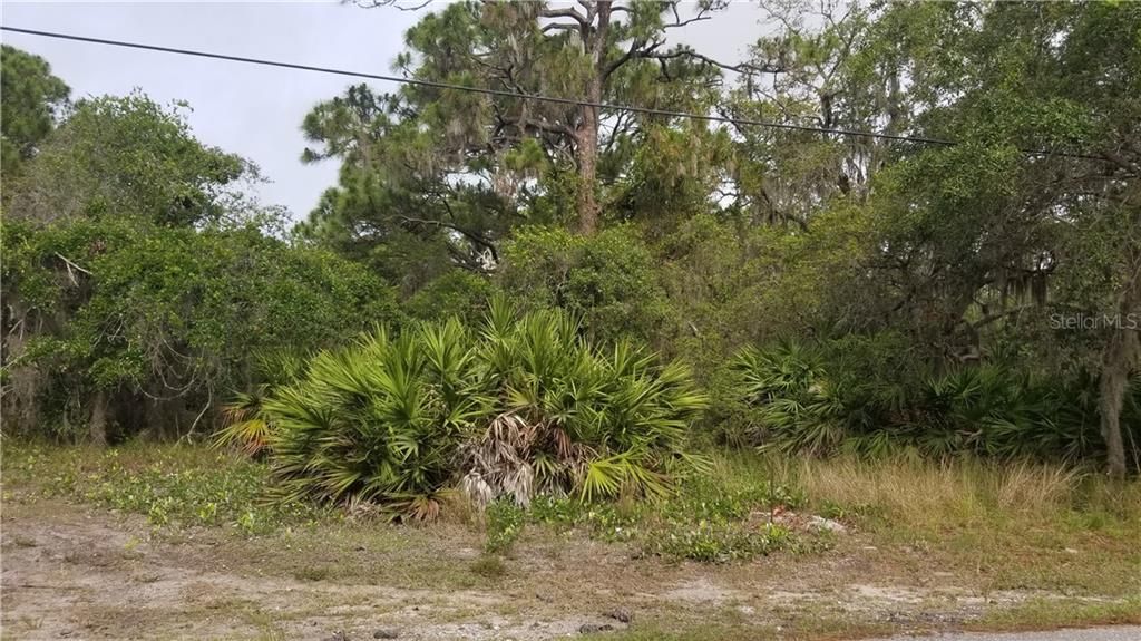 Vendido Recientemente: $24,900 (1.25 acres)