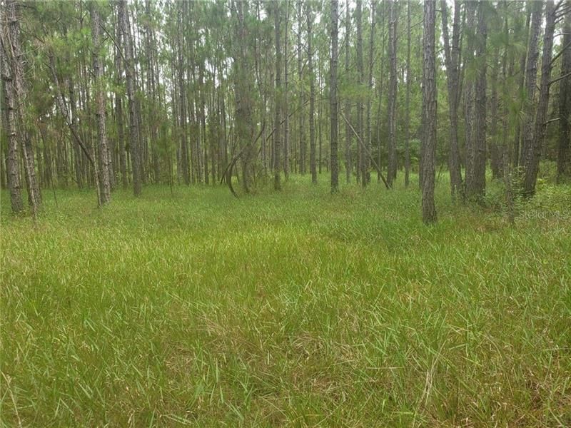 Недавно продано: $209,900 (21.44 acres)