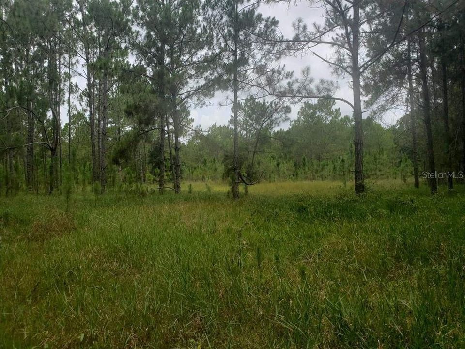 Recently Sold: $209,900 (21.44 acres)