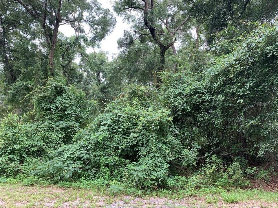 Recently Sold: $75,000 (2.32 acres)