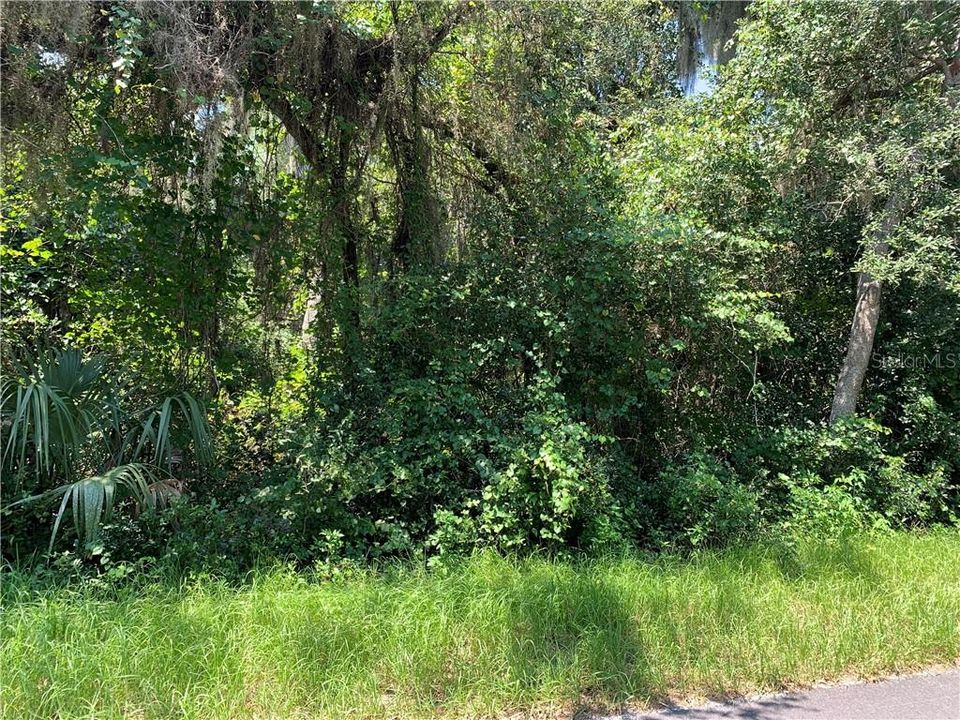 Vendido Recientemente: $80,000 (6.40 acres)