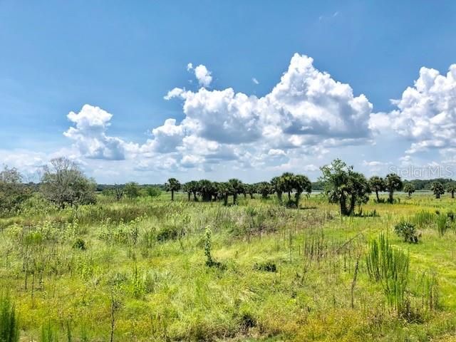 Recently Sold: $109,000 (11.50 acres)