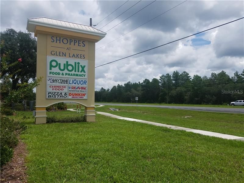 SITE US 19 ROAD FRONTAGE IN BACKGROUND WITH PUBLIX SHOPPING CENTER SIGN