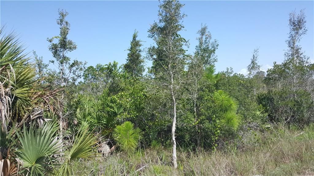 Recently Sold: $17,500 (1.25 acres)